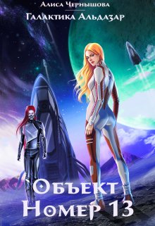 Объект номер 13 (Алиса Чернышова)